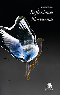 Reflexiones nocturnas de J. Adrián Farías. Una obra de literatura introspectiva y pensamientos contemporáneos publicada por Editorial Puertas, ideal para lectores que buscan textos de análisis personal y meditación.